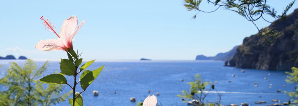 b&b con piscina a positano